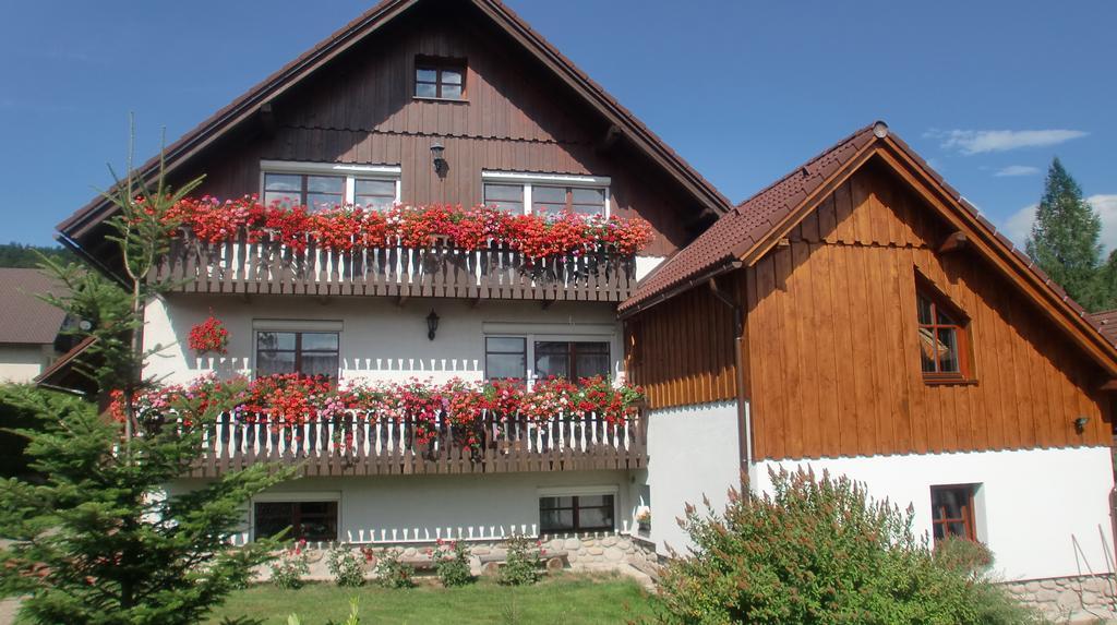 Apartmany Votockovi Rokytnice nad Jizerou Extérieur photo